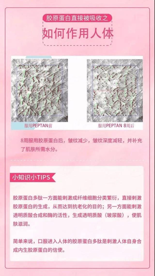 人体|紧致水润肌·养成术||胶原蛋白真的那么重要吗？