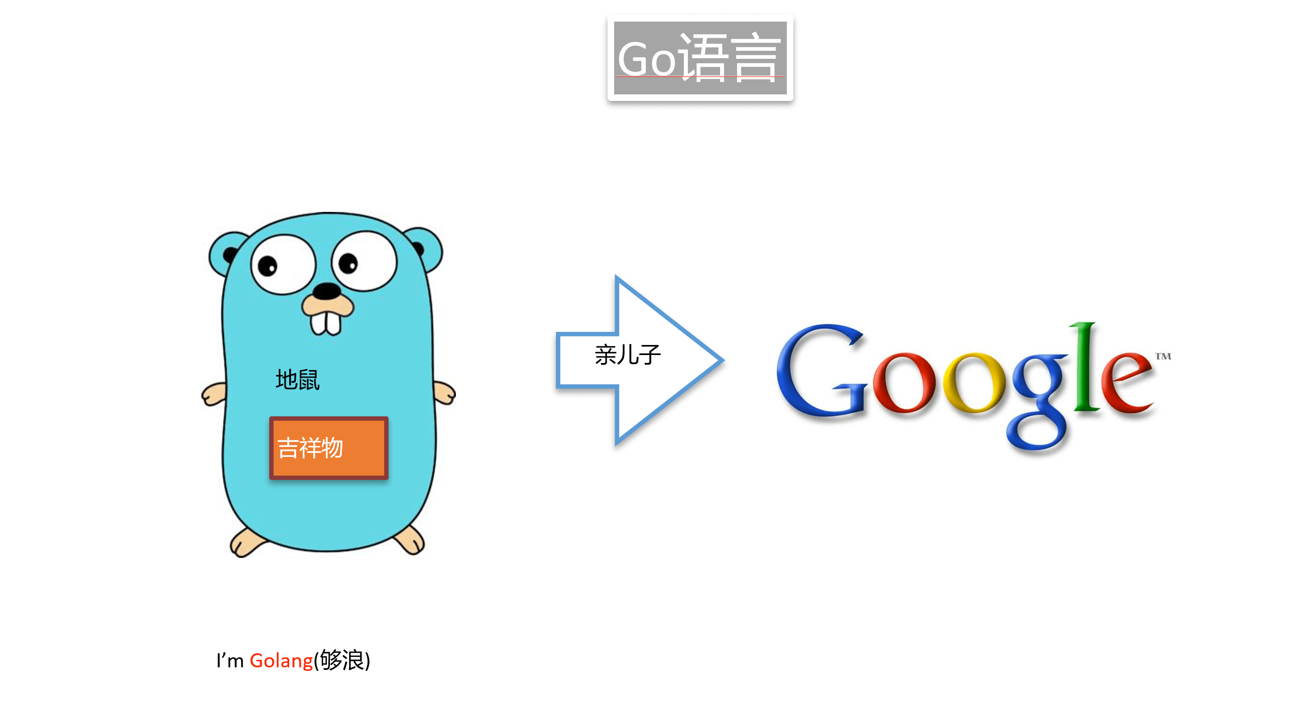  golang 1 