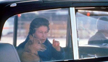 上飞机|英国王室最没规矩的“成员”,有专机接送,还敢走在女王的前面!