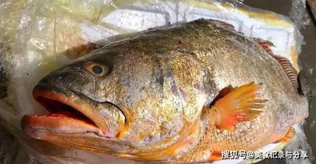 怎么才能买到好鱼 572a1ed6499143f9b4971ece12a8d860.jpeg