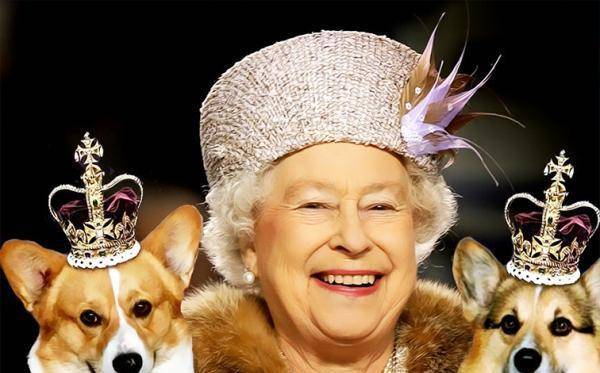 上飞机|英国王室最没规矩的“成员”,有专机接送,还敢走在女王的前面!