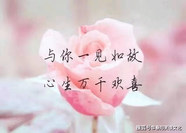 ed82e1c8d3dc481991272fa7cb48c9bb.png