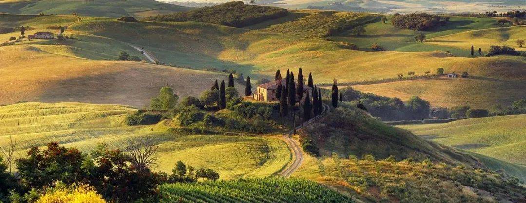 Wine|Siamo Campioni！意大利葡萄酒看Wine to Asia 2021