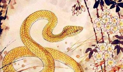 蛇属相配什么属相好 31381c5705b9479893698c73a3b710cc.jpeg