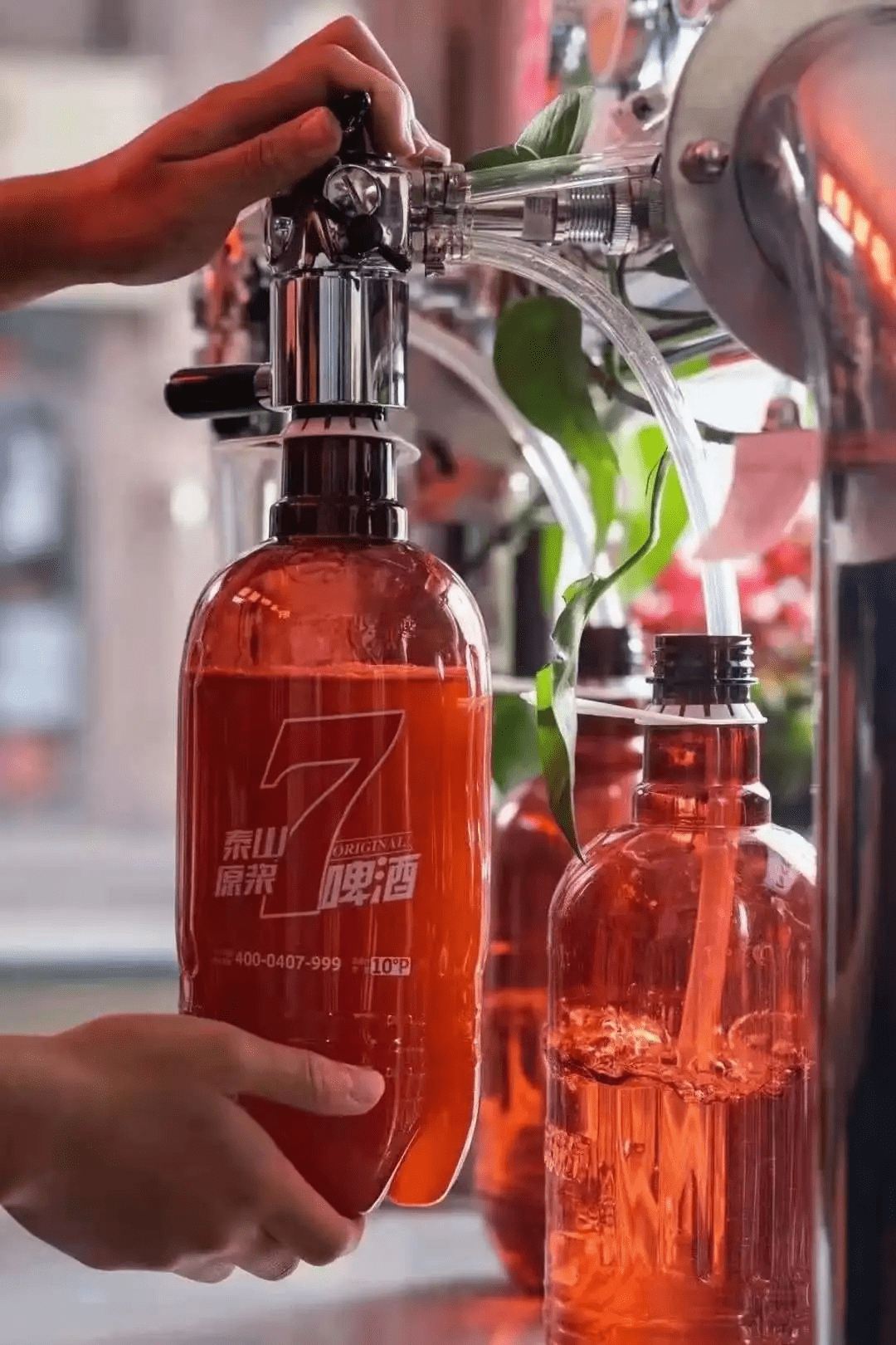 激情夏日来盐城这里免费喝啤酒吧