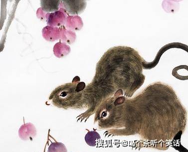 名字女寓意财运好吗属鼠 给属鼠女儿取旺财名是迷信吗？大数据揭开惊人真相