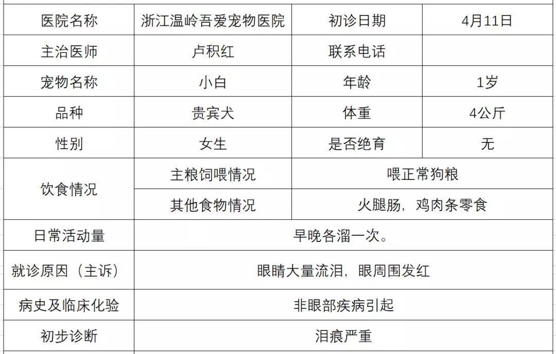 經過盧醫生問診後,發現小白沒有睫毛內翻,鼻淚管堵塞,耳道炎症以及牙