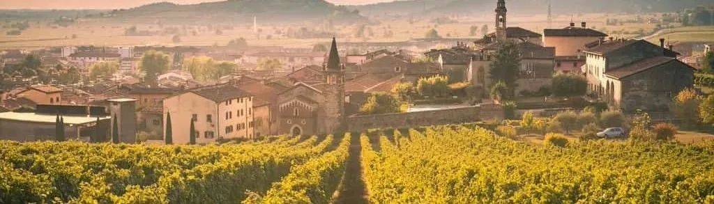 Wine|Siamo Campioni！意大利葡萄酒看Wine to Asia 2021