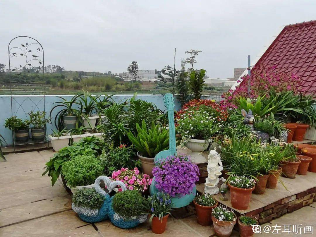 天台花园vs低层庭院,哪里养花更方便?_顶楼