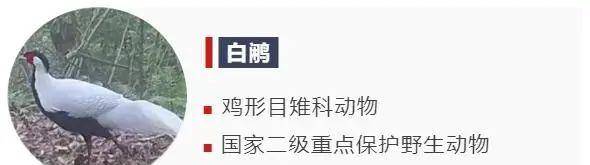 象头山|还在为穿衣搭配发愁？让“时尚达人”给你一些新思路！