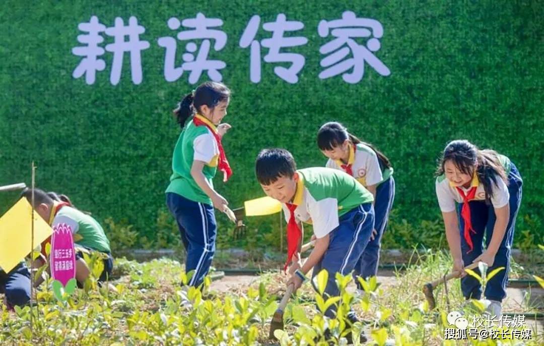 教育|杨树军：热衷应试教育的人，读书时多半是“学渣”