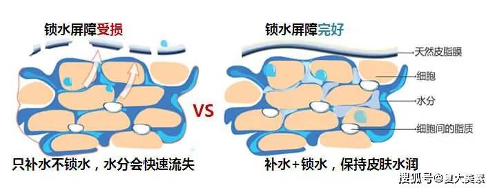 问题|炎炎夏日，肌肤外油内干该怎么办？