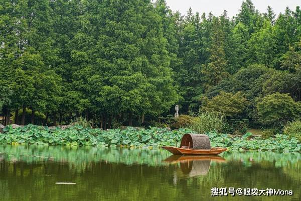 夏日的黿頭渚,湖面上彷彿蓋上了一層綠紗,一定要乘船泛舟於湖面上