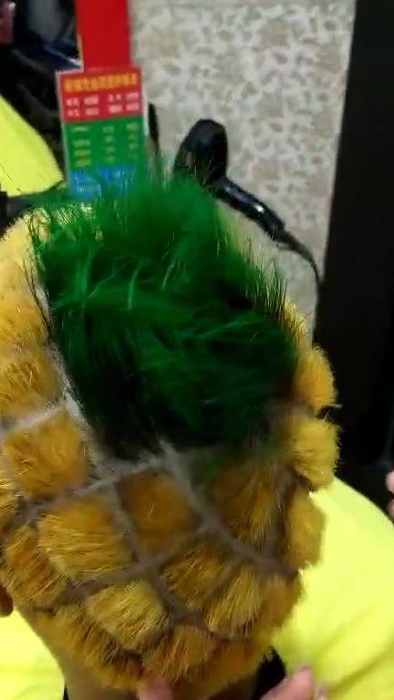 菠萝怎么画更逼真 27d97717329c4dcb9db943d635f1ae50.jpeg