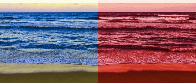 橄榄球经济3个方法教你在红海市场中找到蓝海