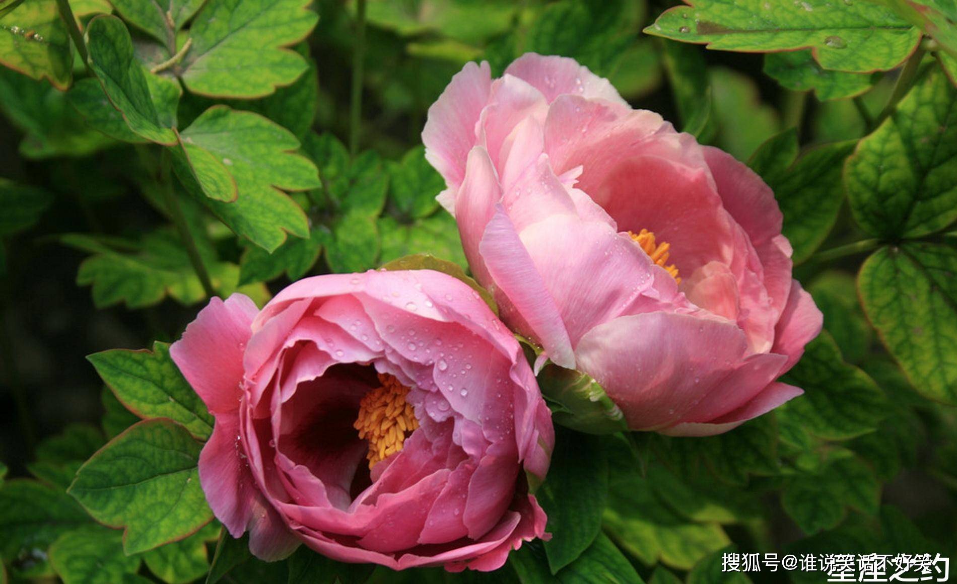 9月18日 22日星座运势 白羊座目标明确 水瓶座公私分明 未来