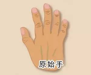 六大|美甲避雷：六大手型分享，想美甲不知道怎么挑？看你适合哪种吧
