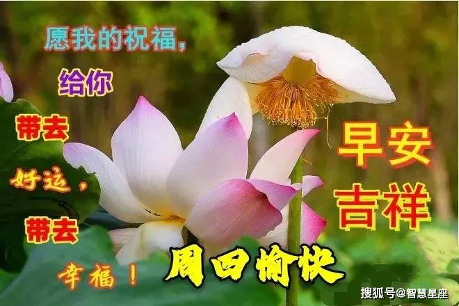 21年7月15日星期四早上好问候祝福动态表情图片周四最新早安问候语动态图片 阳光