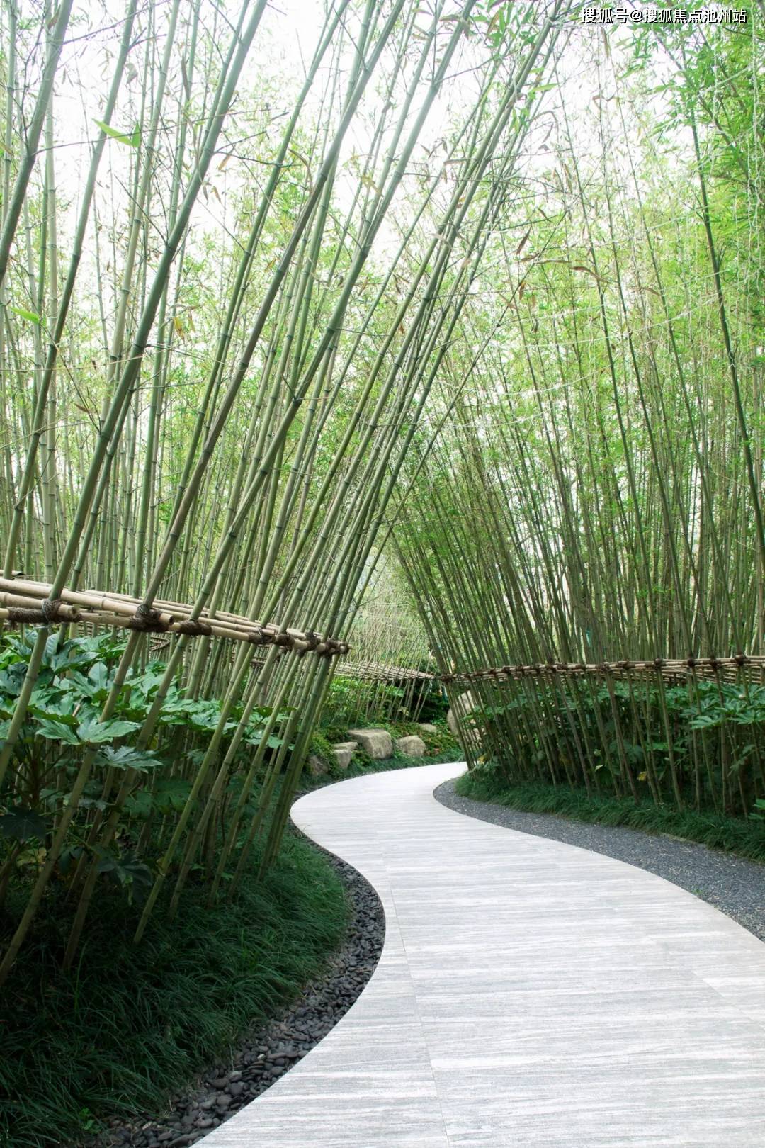沿竹林小径漫行,迎接一重重曼妙体验.