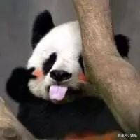 卫衣|一口气给你们挑了8款上班搭配，基本单品撑起了半边天？