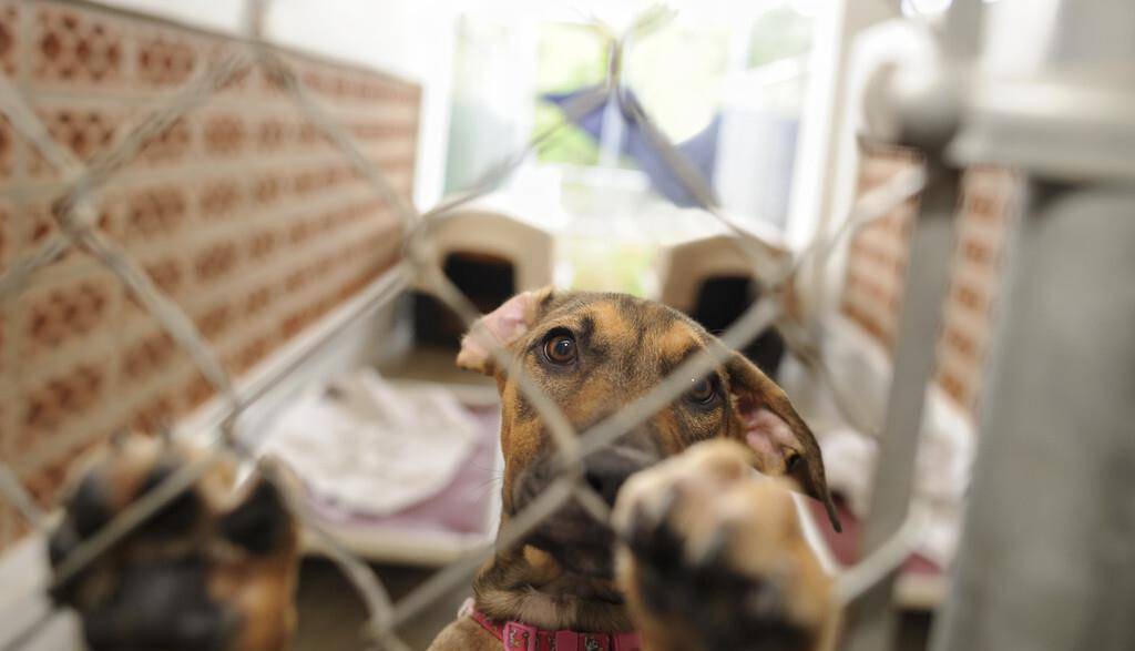 九游会旗舰店歌词 晴格歌词网