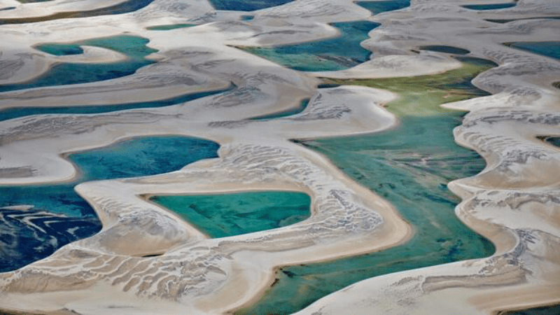 最诡异的沙地，沙漠内含上千积水湖泊，鱼能钻到沙下避旱季?