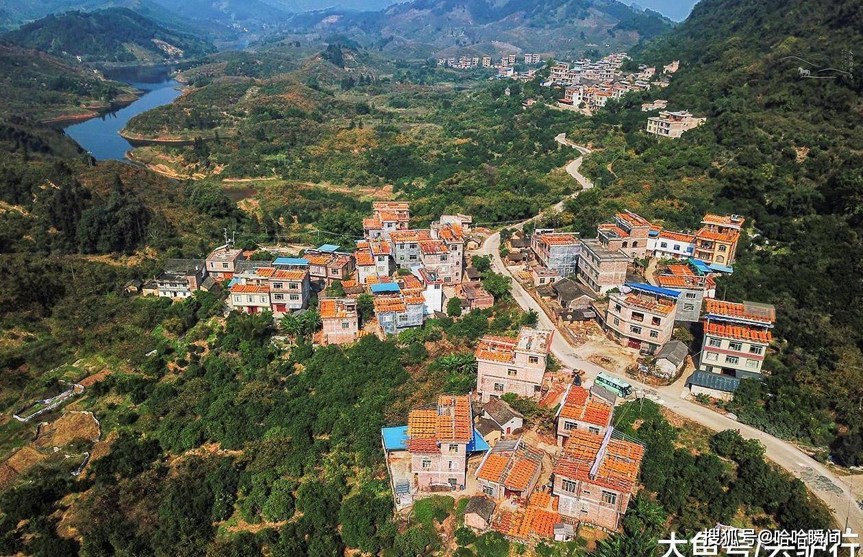 年产50多万吨柿子, 广西这座县城村民, 欲发展旅游改变困局