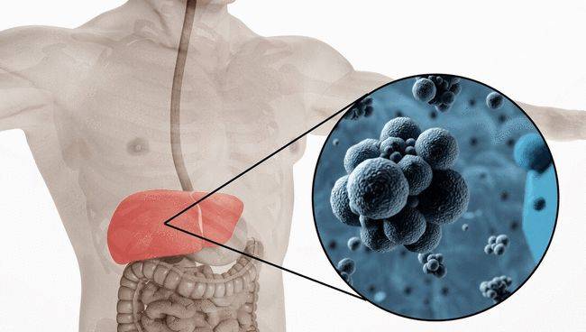 治疗|乙肝新突破，“润滑剂”被发现，拯救多数人