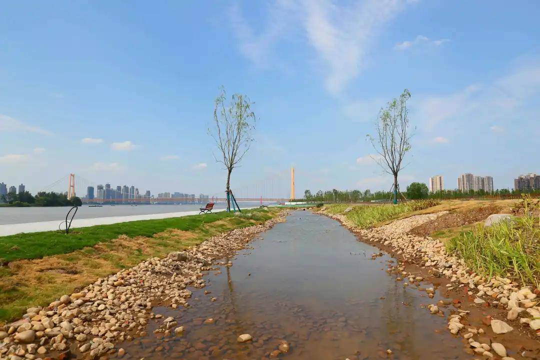 流水台地,阴阳太极,洪山白沙洲江滩示范段将开放!