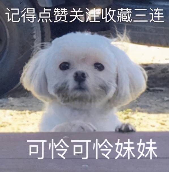 54a80bca4fef465bb282d0b39bd4c49b.jpeg