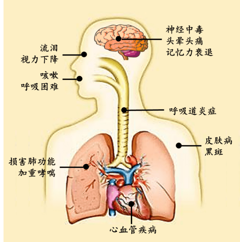 臭氧污染对人体危害极大,这4类人尤其要注意_影响