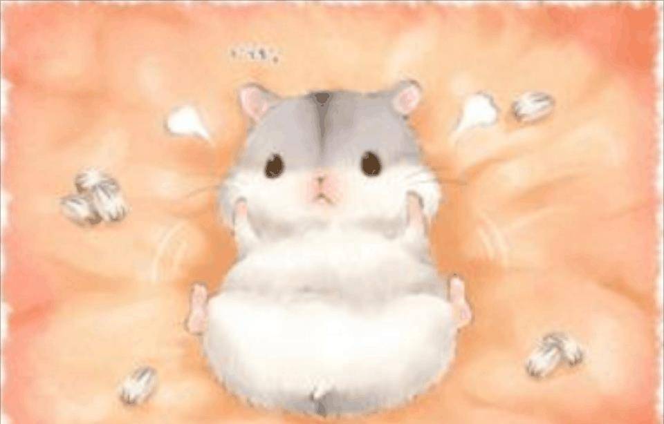 龙猫|想喂养宠物龙猫的人们, 来看看哪些食物可以喂它们吧