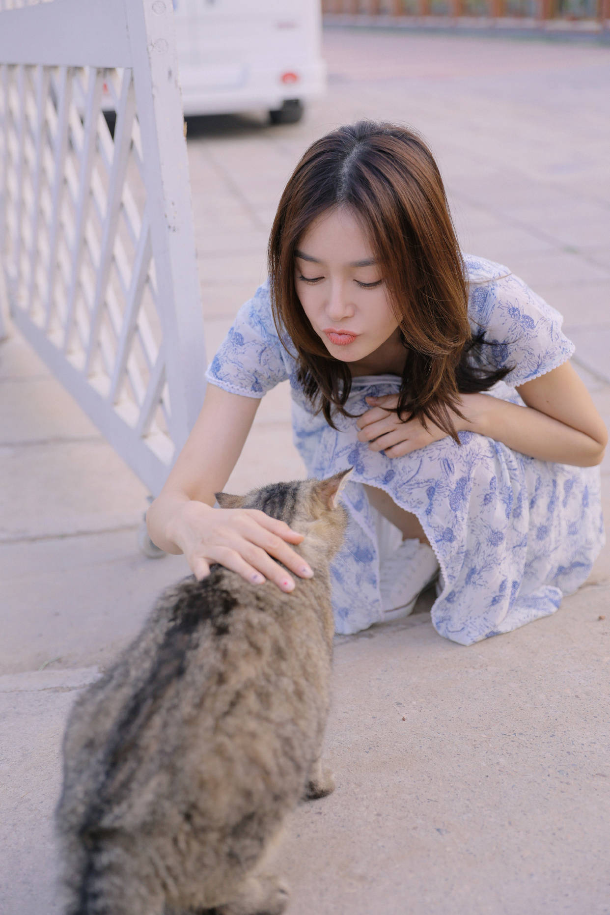 条纹|不愧是“白月光”，41岁秦岚少女碎花裙甜美俏皮，美回校园初恋