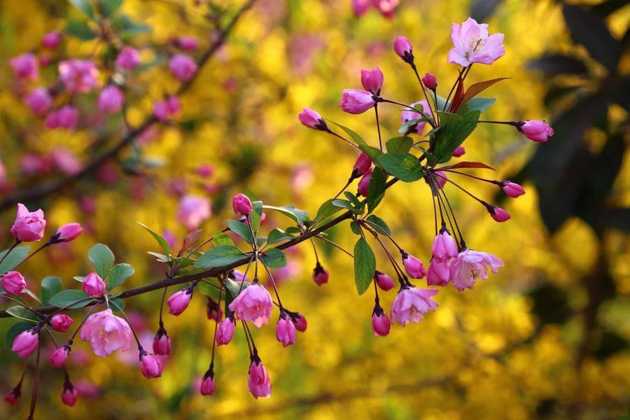 富贵在天全集完整版 161041e83121437f9f10eb24f8a23990.jpeg