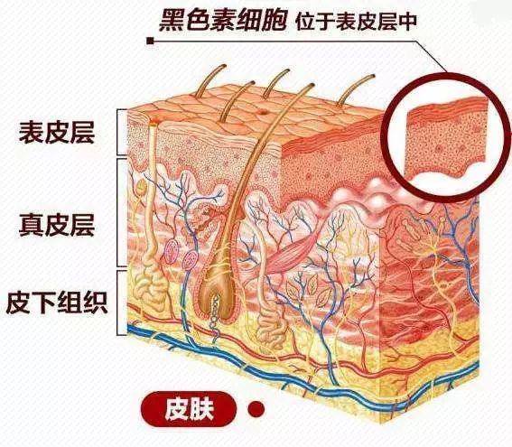 什么|为什么你用的美白精华，效果不明显？原来是你没做对这一点！