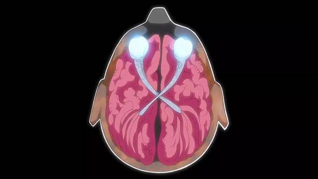 写轮眼|火影忍者：宇智波的“写轮眼”，兄弟之间为什么不可以“互换”？