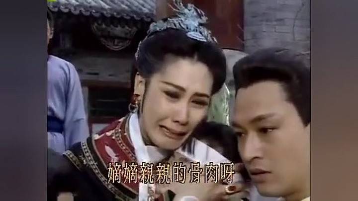 全靠|人设简单，剧情全靠福晋推动，1993年的《梅花烙》是怎么火的？