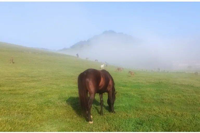 空气|相约关山 遇见21℃的夏天