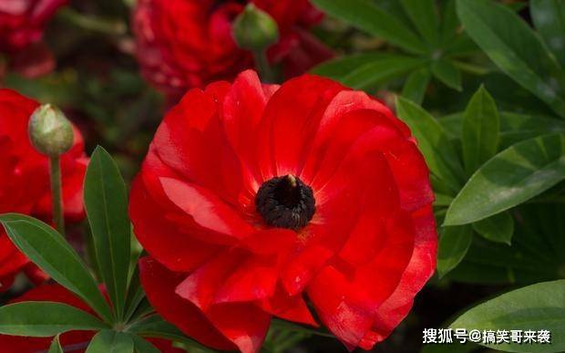 8 10 16星座运势 金牛拼尽全力 天秤事半功倍 水瓶举一反三