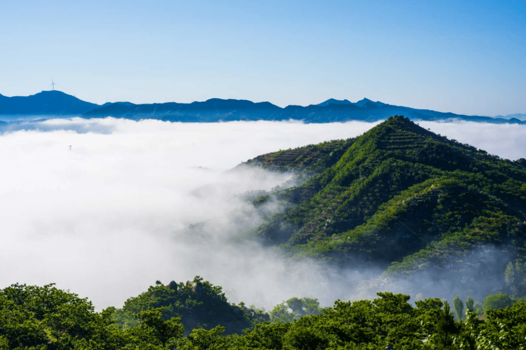 王沐子|七月的秦皇岛美出新高度，看完就出发！