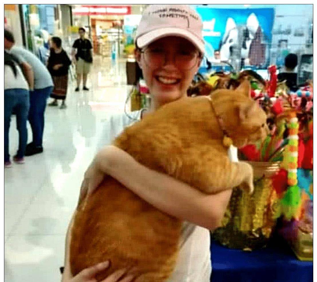 女子抱着橘猫去逛商场，没一会却引来众人围观，网友：活着不如猫
