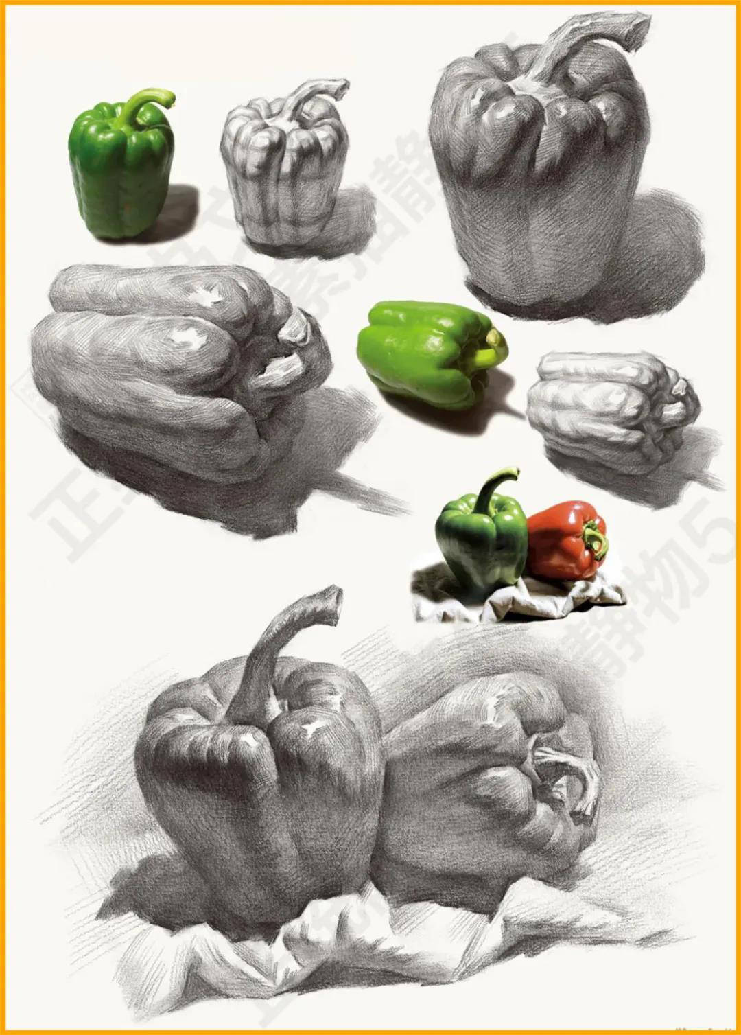 素描静物中各种不同的单体该怎么画广州暑假美术培训