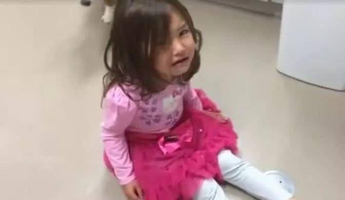 举动|小主人被教训后嚎啕大哭，小柯基的安慰方式令人暖心！