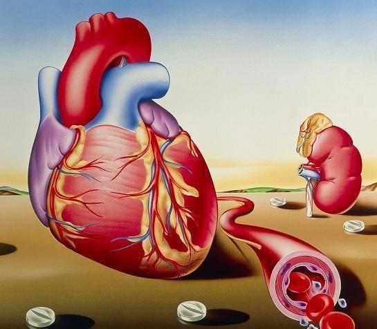 酿酒|闲时喝点桑葚酒，5个好处容易找上你，喝过的人都懂！