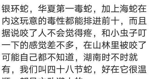 易经里女命坐牢的命局是什么 女命犯三刑的案例