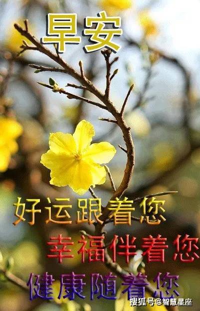 原創夏季非常漂亮早安問候圖片帶字溫馨早晨問候語動態圖片表情