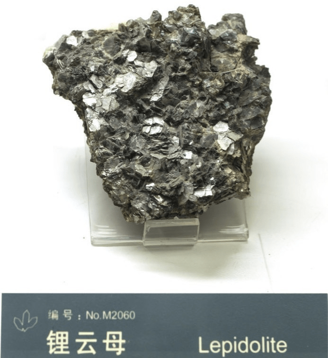 锂资源股的盛世危言