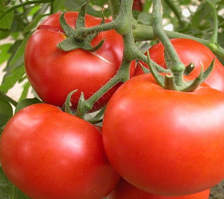 肾脏|尿酸增高的人，通常会有3种表现！提醒：2少、2喝、2吃，助控尿酸