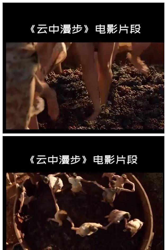 机器|为什么“少女光脚”能踩出顶级葡萄酒?原来有这好处,真是涨见识