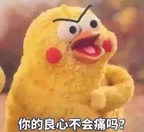 良心|柯基怎么也爬不上楼梯,一旁的主人笑疯了,你良心不会痛吗?